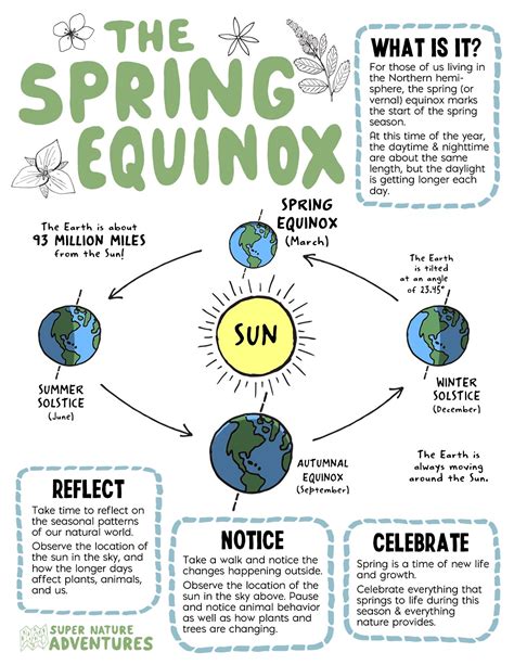 Connecting with Nature's Renewal on the Spring Equinox